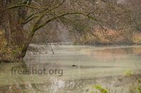 Wasserlandschaft